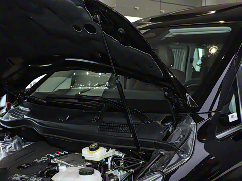 2025�� �����������վ�