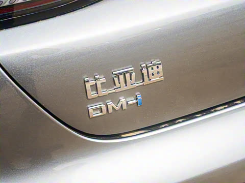 2025�� DM-i �Ǽݰ� 55KM�����