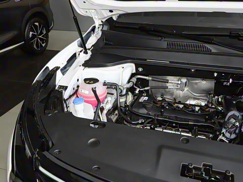 2025�� 1.5T ��ԭ�� 7��