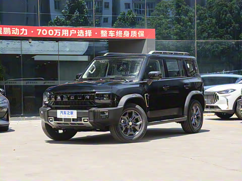 2025�� 2.0TD DCT XWD����