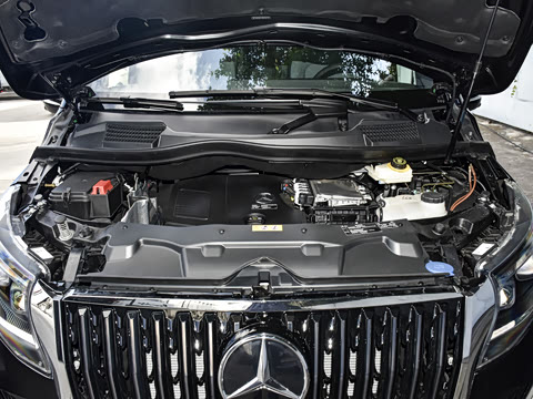 2025�� �������Ȱ�