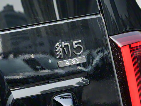 2025�� �����Ǽ�Max��