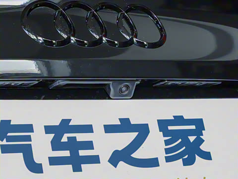 2024�� RS 5 2.9T Sportback ȼ���