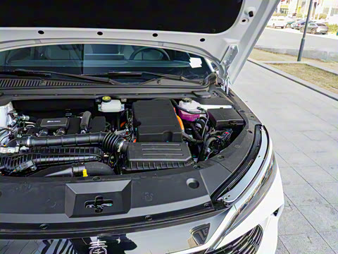 2025�� DM-i �Ǽݰ� 120KM������