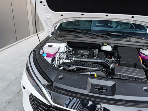 2025�� DM-i �Ǽݰ� 120KM������