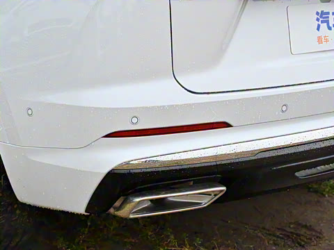 2025�� ������Plus ����Avenir��ά��