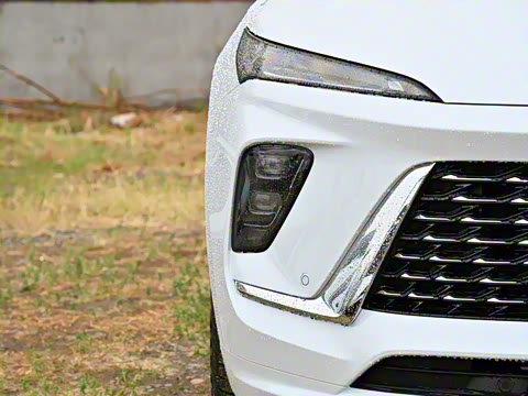 2025�� ������Plus ����Avenir��ά��