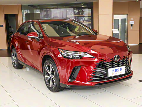 2025�� 300 ����������