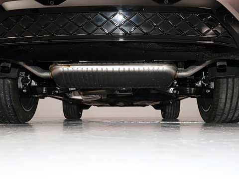 2025�� ;�� Pro 450TSI �����Ƿ��