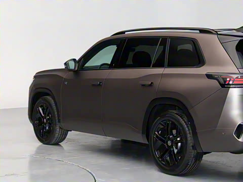 2025�� ;�� Pro 450TSI �����Ƿ��