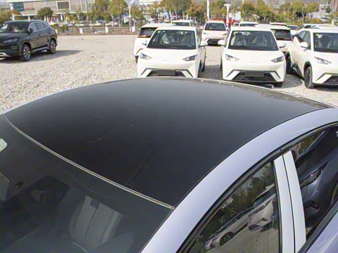 2025�� 650�Ǻ���