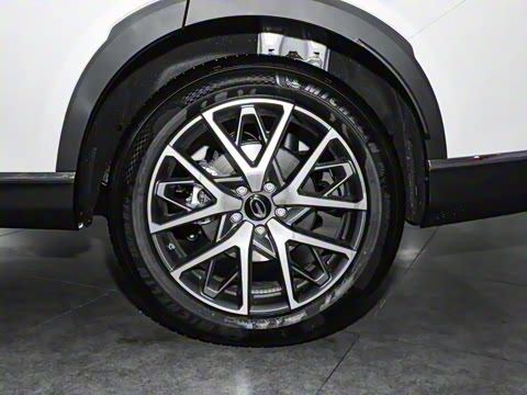 2025�� �캽ϵ�� 2.0TGDI ���������� 5��