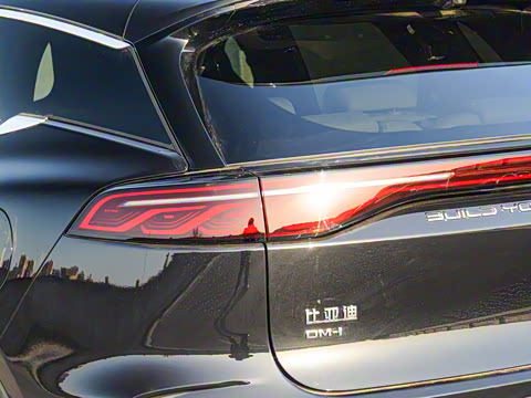 2025�� �Ǽݰ� DM-i 115KM �콢��