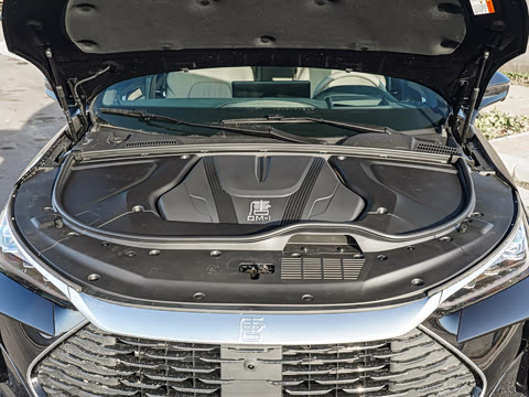 2025�� �Ǽݰ� DM-i 115KM �콢��