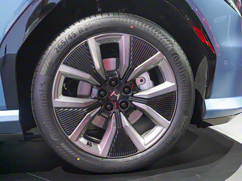 2025�� ����������Max