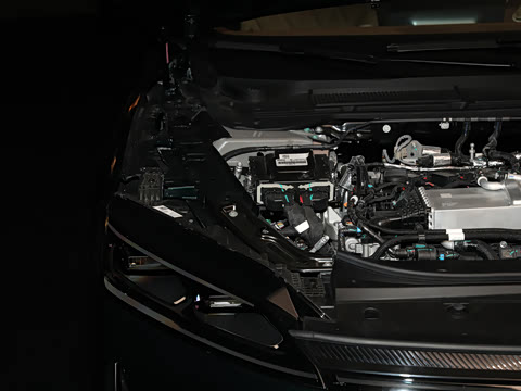 2025�� ������