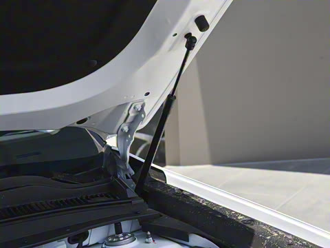 2024�� ������