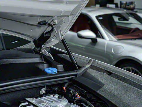 2025�� Cayenne 3.0T ���ΰ�