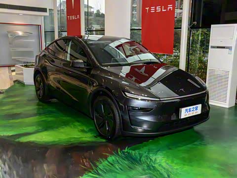 2025�� ����������