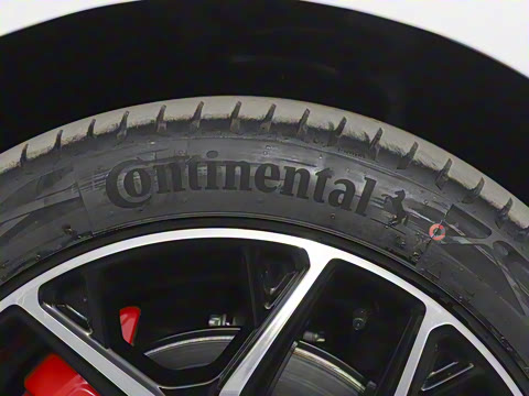 2025�� ���� 565����Max�캽��