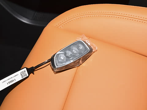 2025�� 2.0T 4WD Pro