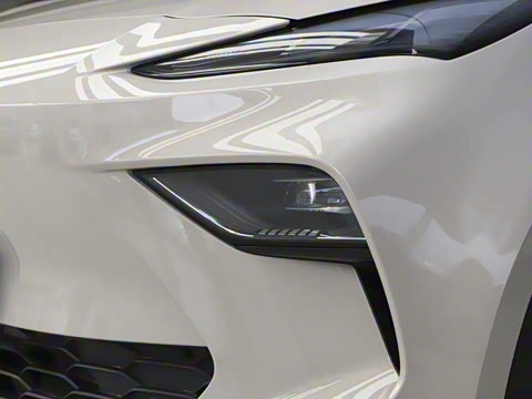 2025�� 425plus ������