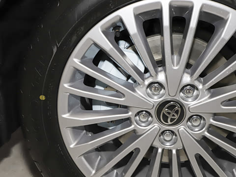 2025�� ˫�� 2.0HG ��԰�