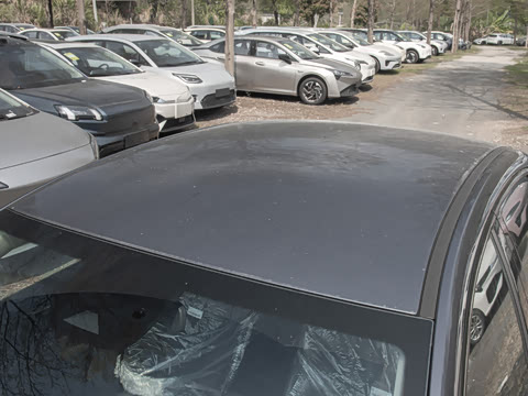 2025�� 650 ������