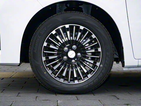 2025�� 2.0L �Զ���������� 9��