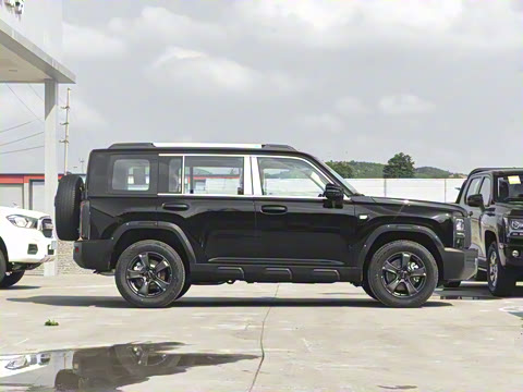 2025�� 2.0T 4WD Pro