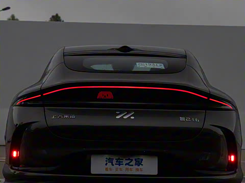 2024�� Max ��ǿ���ܰ�