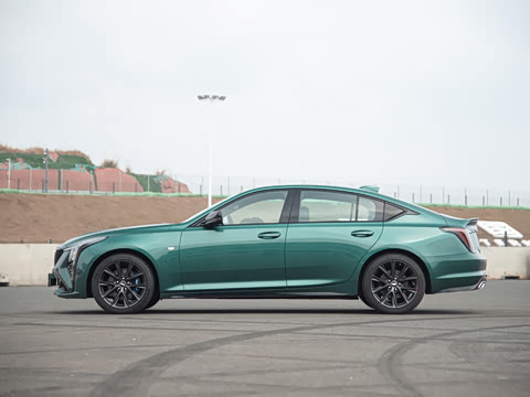 2025�� 28T �������ܰ�