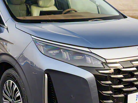 2025�� DM-i 1.5T 100km ��Խ��