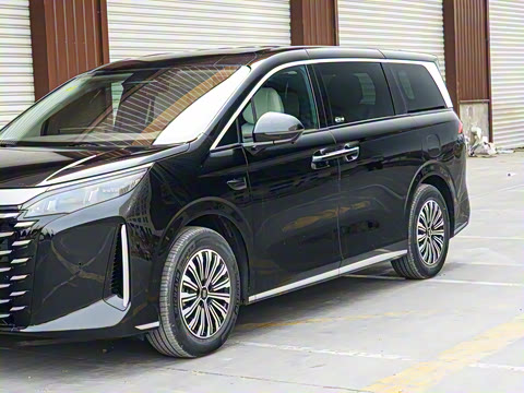 2025�� DM-i 1.5T 180km ��Խ��