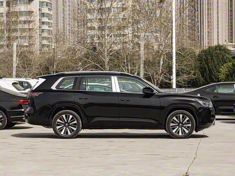 2025�� ;�� Pro 450TSI ����̽����