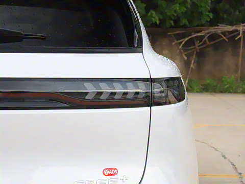 2025�� FREE+ ����Ǭ����