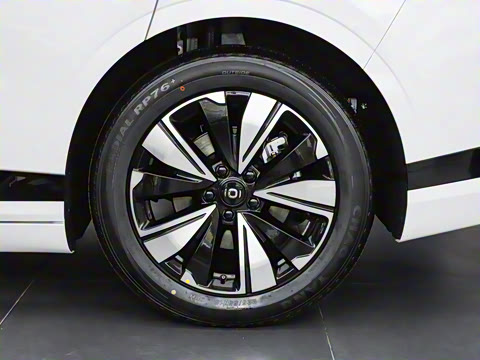 2025�� ��������� 515�����