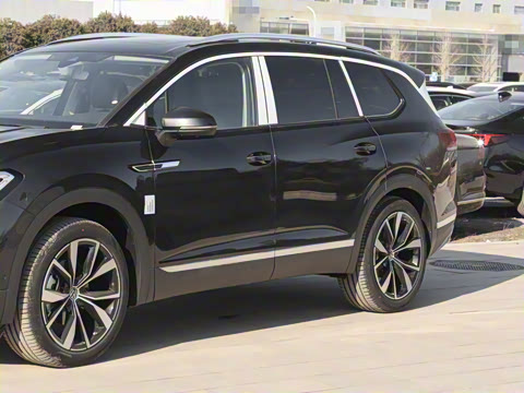 2025�� 530TSI �����콢ʤ��Pro ������ 6��