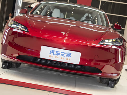 2025�� ����������