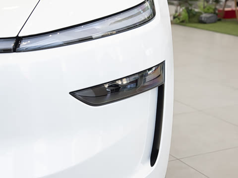 2025�� ����������