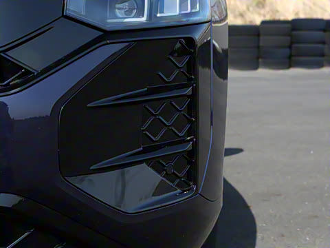 2025�� ;�� Pro 450TSI �����ݺ��