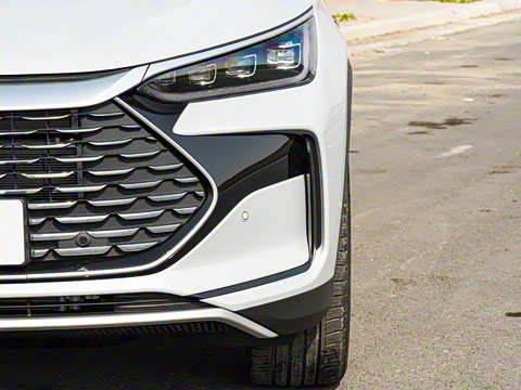 2025�� �Ǽݰ� DM-i 115KM �����