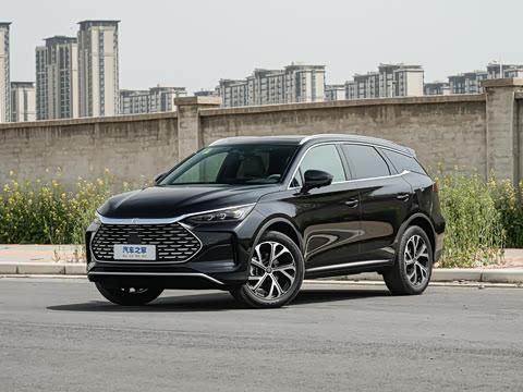 2025�� DM-i 175KM �캽��