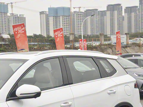 2024�� ��ҫ�� DM-i 110KM׿Խ��