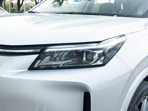 2025�� 165km ������������ 7��