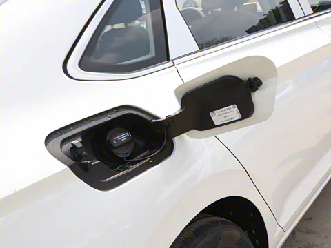 2025�� �Ŀ�� 300TSI DSG��Խ��