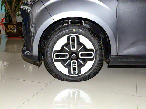 2025�� Mate 300km׷���