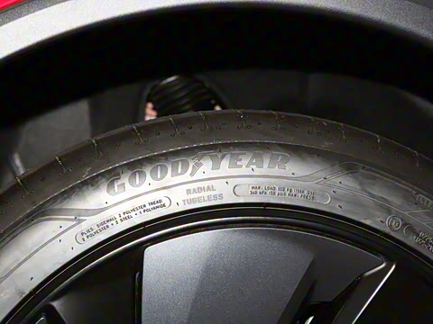 2025�� ����������