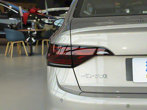 2025�� �Ŀ� 300TSI DSG��Խ��