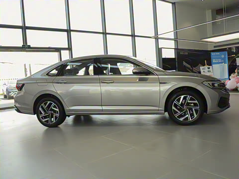 2025�� �Ŀ� 300TSI DSG��Խ��